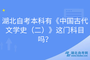 湖北自考本科有《中國古代文學(xué)史（二）》這門科目嗎？