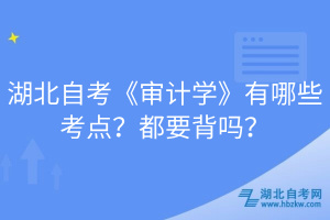 湖北自考《審計學(xué)》有哪些考點？都要背嗎？