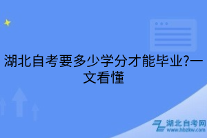 湖北自考要多少學(xué)分才能畢業(yè)?一文看懂