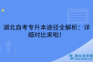 湖北自考專升本途徑全解析：詳細對比來啦！