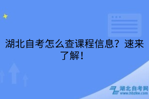 湖北自考怎么查課程信息？速來了解！