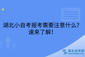 湖北小自考報(bào)考需要注意什么？速來了解！