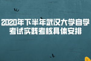 2020年下半年武漢大學自學考試實踐考核具體安排