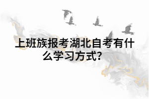 上班族報(bào)考湖北自考有什么學(xué)習(xí)方式？