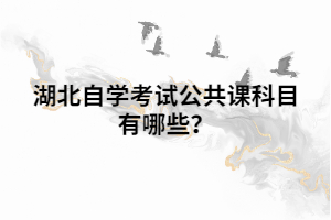 湖北自學考試公共課科目有哪些？