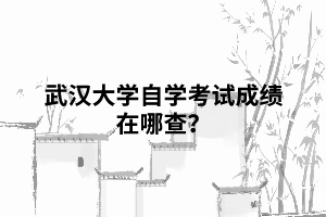 武漢大學(xué)自學(xué)考試成績在哪查？