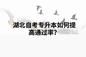 湖北自考專升本如何提高通過率？