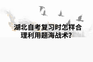 湖北自考復(fù)習(xí)時怎樣合理利用題海戰(zhàn)術(shù)？