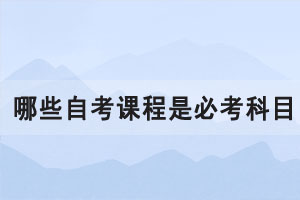 自考本科有多難，哪些自考課程是必考科目？