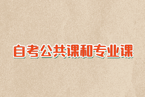 自考公共課和專業(yè)課各有多少門課程要考？