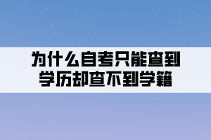 為什么自考只能查到學(xué)歷卻查不到學(xué)籍