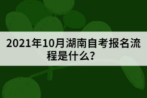 2021年10月湖南自考報(bào)名流程是什么？