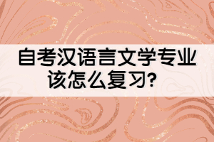 自考漢語言文學專業(yè)該怎么復(fù)習？