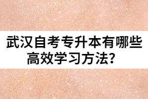 武漢自考專升本有哪些高效學習方法？