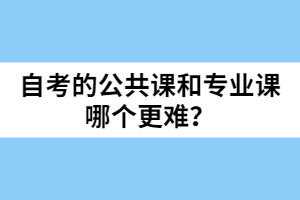 自考的公共課和專業(yè)課哪個(gè)更難？