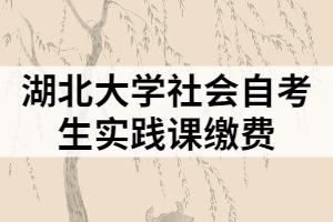 湖北大學(xué)社會自考生實(shí)踐課繳費(fèi)