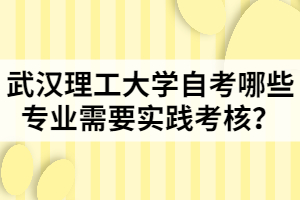 武漢理工大學(xué)自考哪些專業(yè)需要實(shí)踐考核？