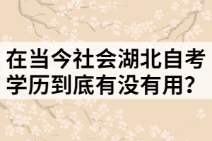 在當(dāng)今社會(huì)湖北自考學(xué)歷到底有沒(méi)有用？