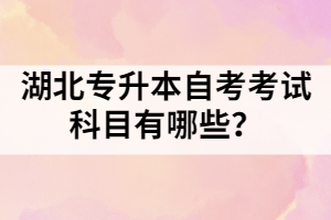 湖北專升本自考考試科目有哪些？