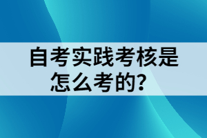 自考實(shí)踐考核是怎么考的？