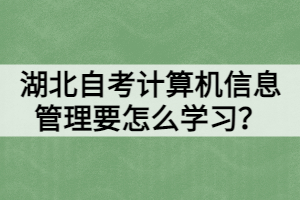 湖北自考計(jì)算機(jī)信息管理要怎么學(xué)習(xí)？