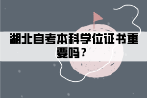 湖北自考本科學位證書重要嗎？