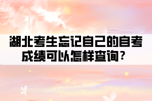 湖北考生忘記自己的自考成績可以怎樣查詢？