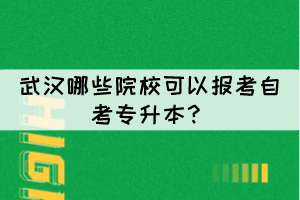 武漢哪些院?？梢詧?bào)考自考專升本？