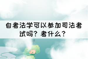自考法學可以參加司法考試嗎？考什么？