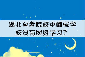 湖北自考院校中哪些學(xué)校沒(méi)有網(wǎng)絡(luò)學(xué)習(xí)？