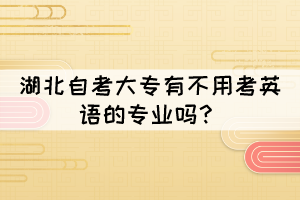 湖北自考全日制大專哪些專業(yè)不用考英語？