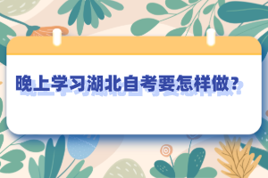 晚上學(xué)習(xí)湖北自考要怎樣做？