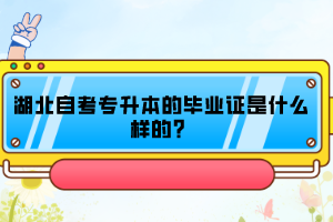 湖北自考專升本的畢業(yè)證是什么樣的？