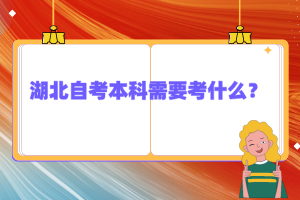 湖北自考本科需要考什么？