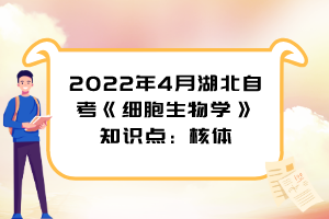 2022年4月湖北自考《細胞生物學》知識點：核體