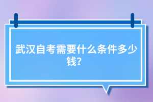 武漢自考需要什么條件多少錢？