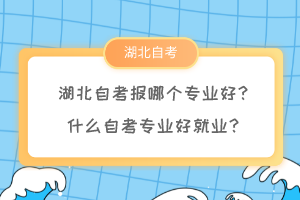 湖北自考報哪個專業(yè)好？什么自考專業(yè)好就業(yè)？