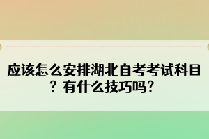 應(yīng)該怎么安排湖北自考考試科目？有什么技巧嗎？