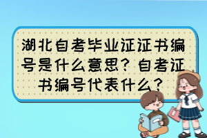 湖北自考畢業(yè)證證書編號是什么意思？自考證書編號代表什么？