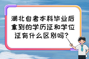 湖北自考本科畢業(yè)后拿到的學(xué)歷證和學(xué)位證有什么區(qū)別嗎？