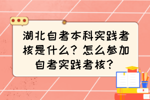 湖北自考本科實踐考核是什么？怎么參加自考實踐考核？