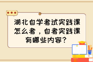 湖北自學考試實踐課怎么考，自考實踐課有哪些內容？