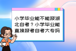 小學(xué)畢業(yè)能不能報湖北自考？小學(xué)畢業(yè)能直接報考自考大專嗎？