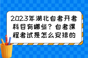 2023年湖北自考開考科目有哪些？自考課程考試是怎么安排的？