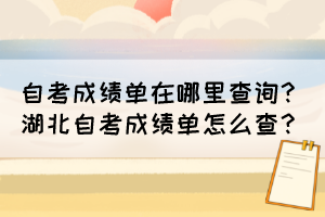 自考成績(jī)單在哪里查詢？湖北自考成績(jī)單怎么查？