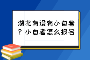 湖北有沒(méi)有小自考？小自考怎么報(bào)名？