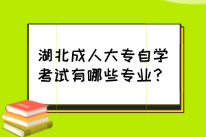 湖北成人大專自學(xué)考試有哪些專業(yè)？