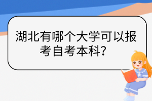 湖北有哪個大學可以報考自考本科？