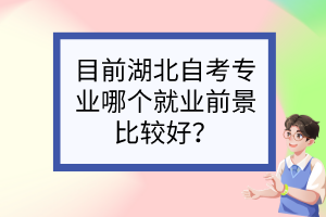 目前湖北自考專業(yè)哪個(gè)就業(yè)前景比較好？