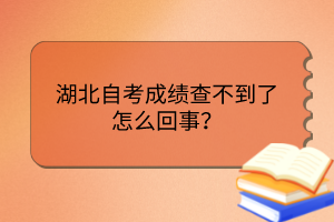 湖北自考成績查不到了怎么回事？